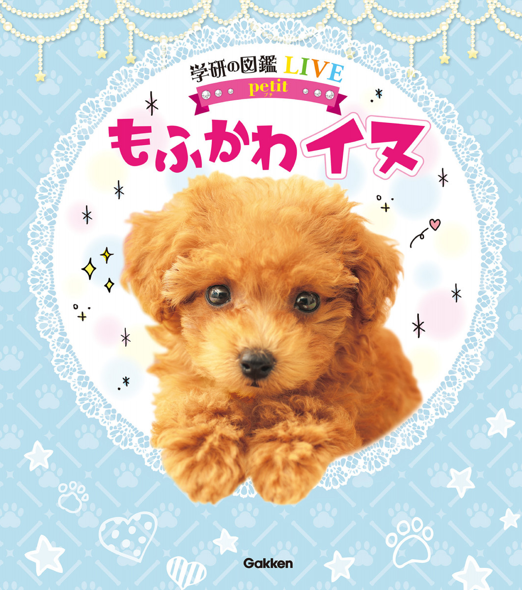 ペット服 犬服 ラッキー 猫 ドッグウェア 柔らかい ファッション